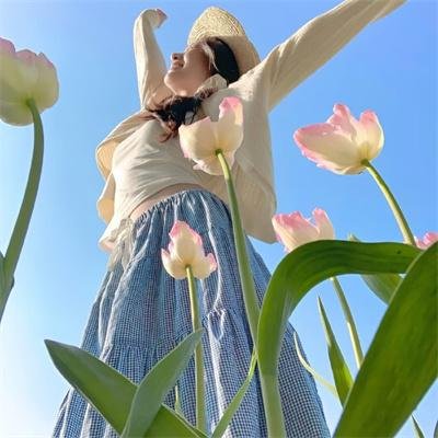 山中森林